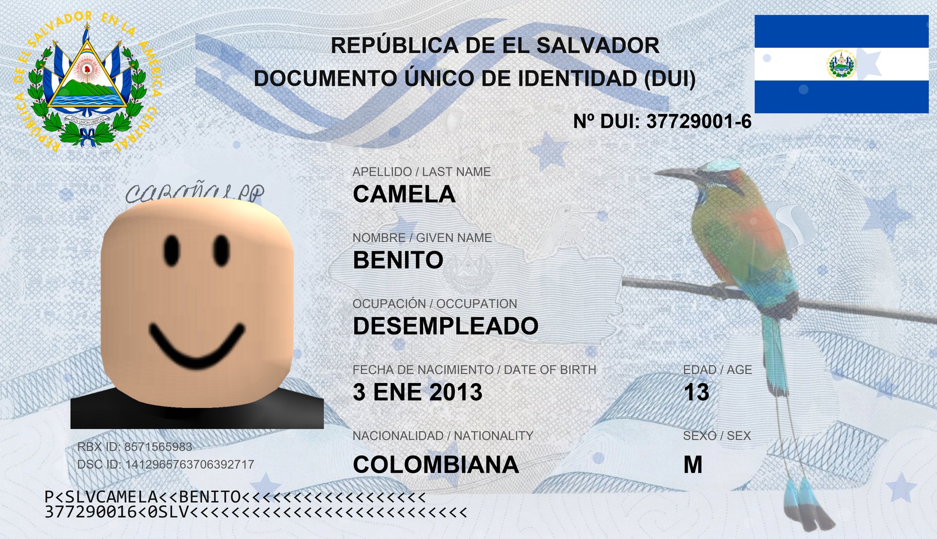 DUI